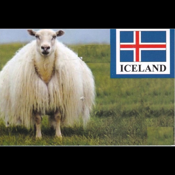 🔜 BACA HILAS ICELANDIC LAMB WOOL SLIPPERS 🐑 - Picture 1 of 4